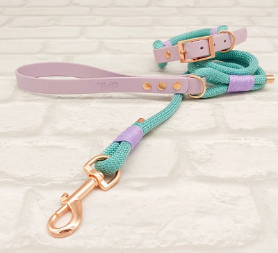 Paracord and BioThane Collar Sea Green and Lilac