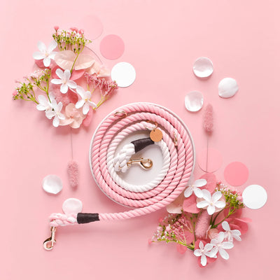 Pretty In Pink Rope Lead