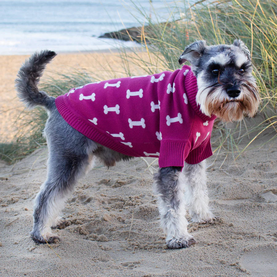 Organic Cotton Cosy Jumper Raspberry Bone DogDaddies organic-cotton-cosy-jumper-raspberry-bone-dogdaddies