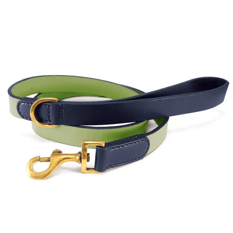 Green and Navy Flat Leather Lead