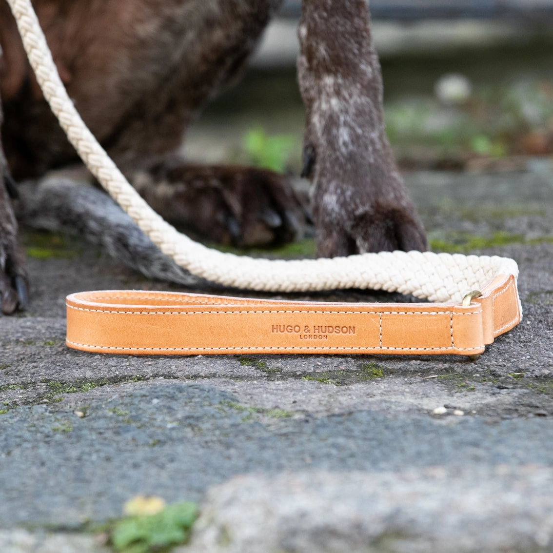 Flat Rope and Tan Leather Dog Lead