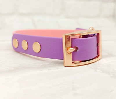 BioThane Waterproof Two Tone Collar Pink and Lilac