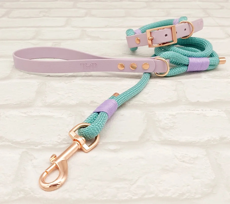 Paracord and BioThane Lead Sea Green and Lilac