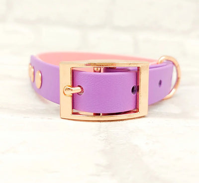 BioThane Waterproof Two Tone Collar Pink and Lilac
