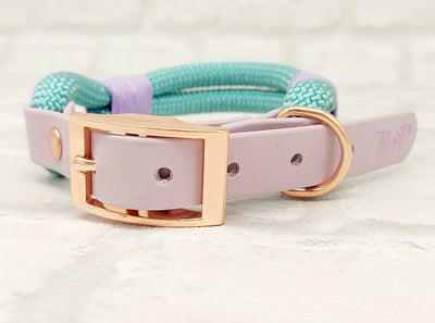 Paracord and BioThane Collar Sea Green and Lilac