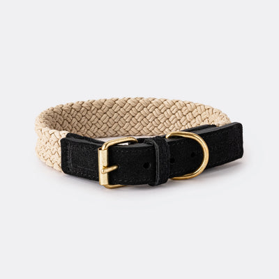 Flat Rope and Black Leather Dog Collar