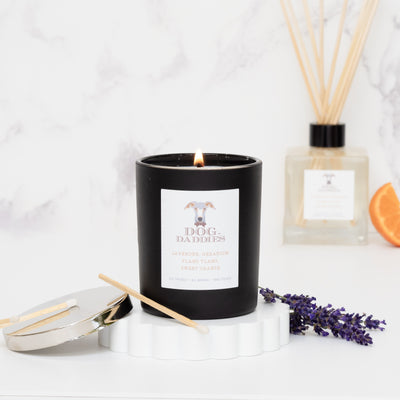 DogDaddies Aromatic Scented Candle
