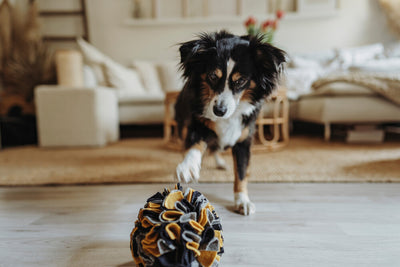 Eco Wooly Snuffle Ball