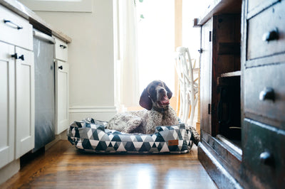 Mosaic Tuxedo Eco Dog Bed