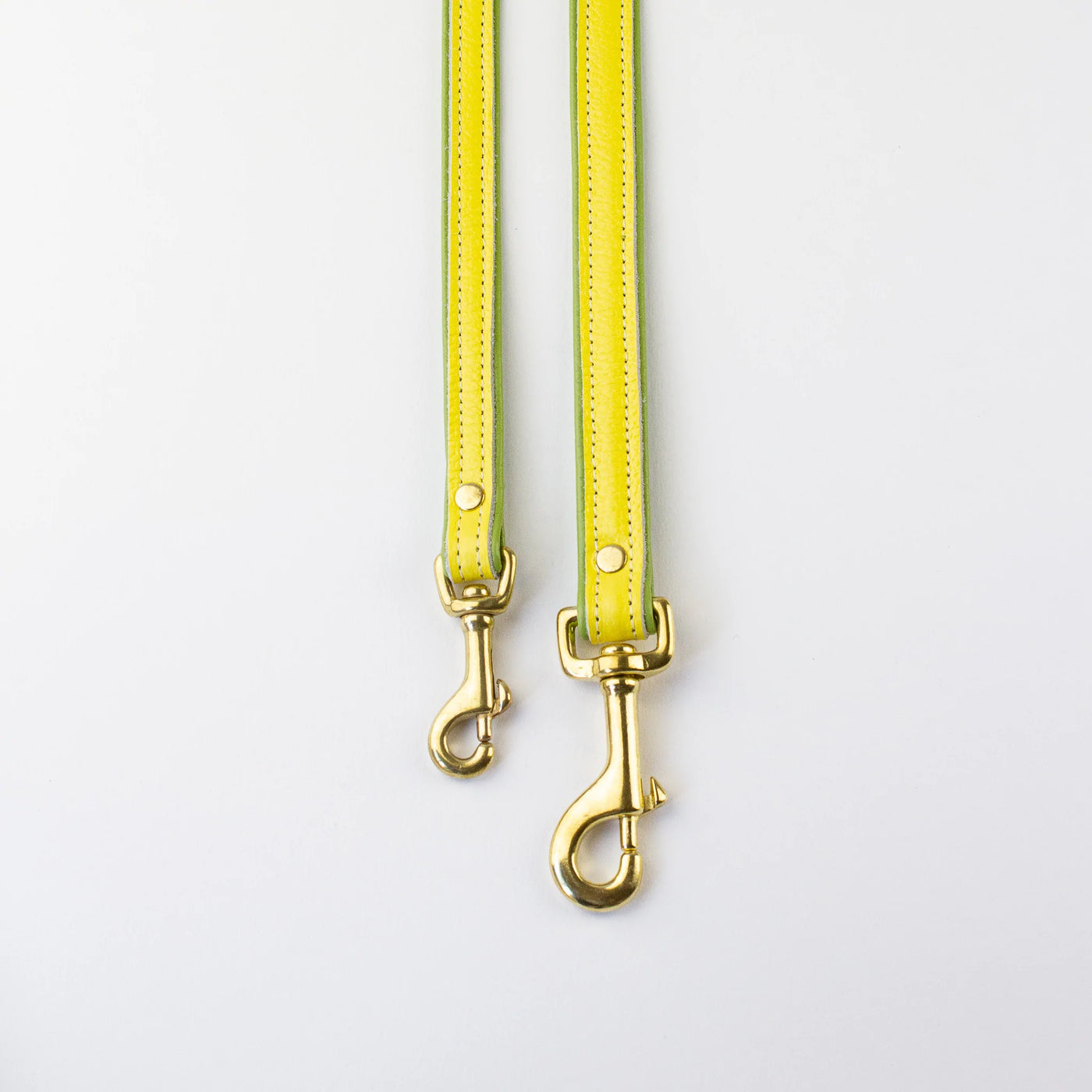 Two Tone Leather Lead In Light Green and Yellow