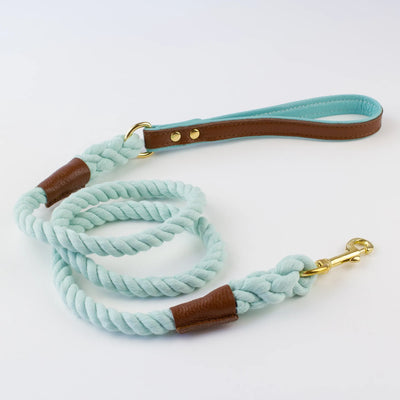 Leather And Rope Lead In Aqua and Brown