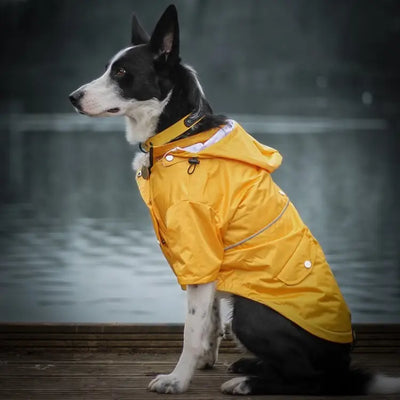 Waterproof Yellow Raincoat