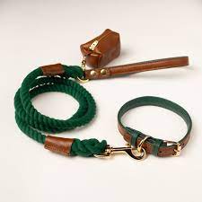 Leather And Rope Lead In Dark Green and Brown