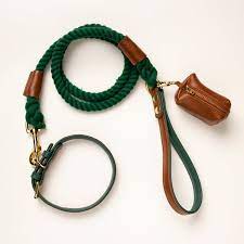 Two Tone Leather Collar In Green And Brown